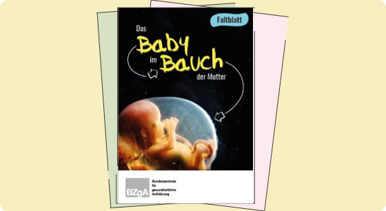 Illustration: Titelbild Material Faltblatt Das Baby im Bauch der Mutter