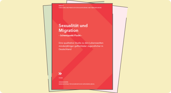 Illustration: Titelbild Material Sexualität und Migration