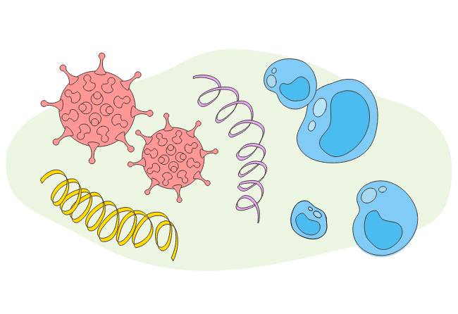 Illustration: STI Viren und Bakterien